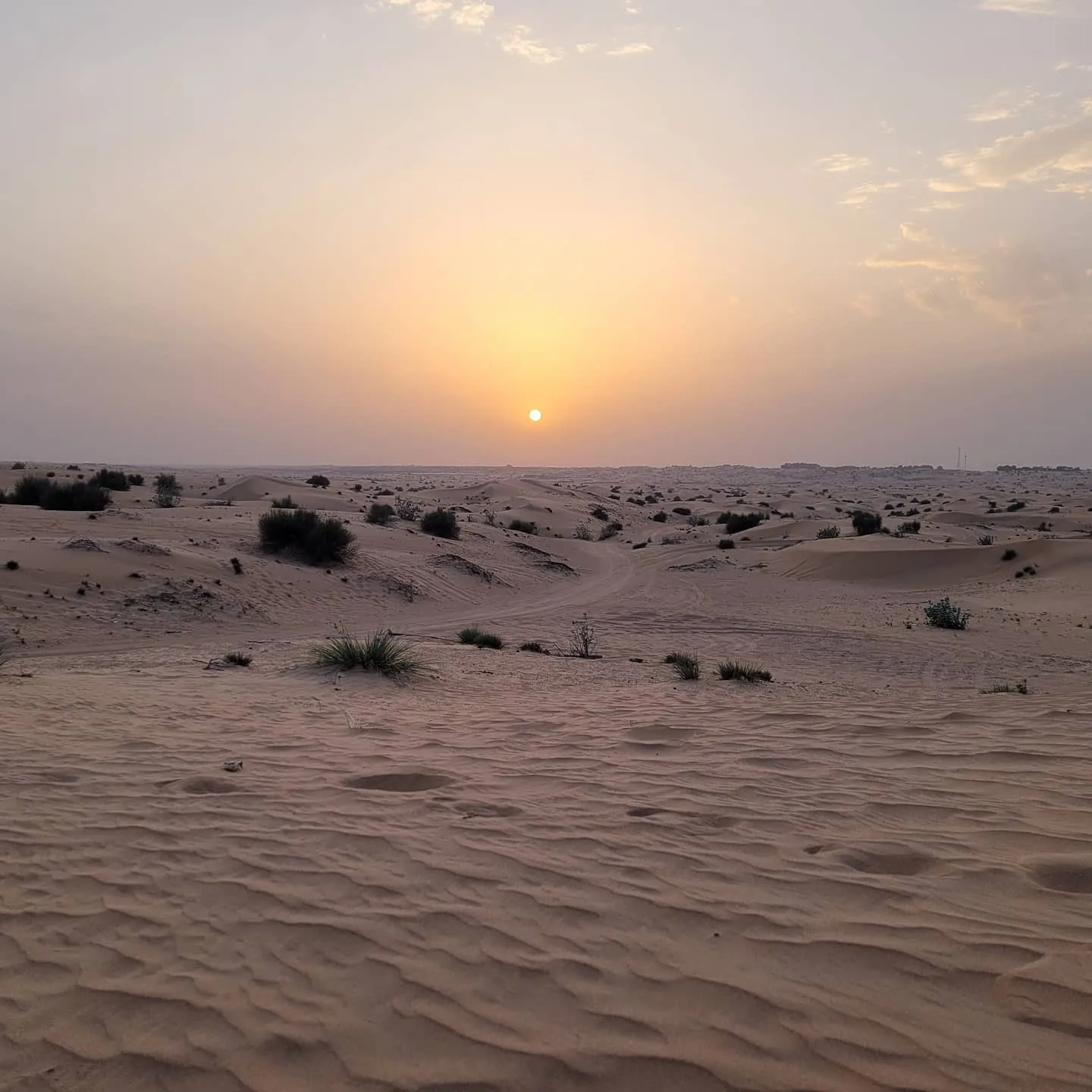 Sun setting over rippled desert sand with scattered dry shrubs and tire tracks leading toward the horizon