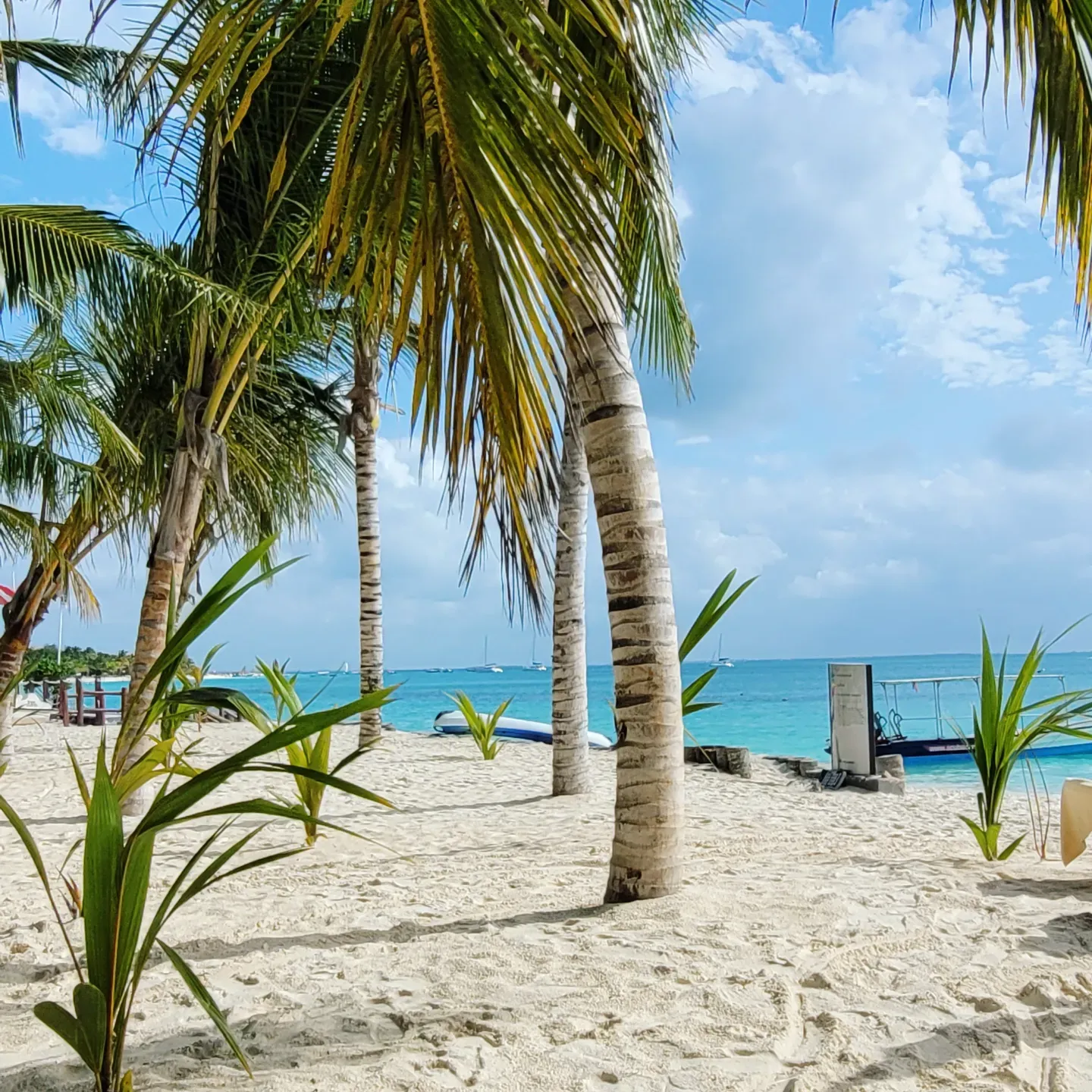 Palm trunks framing a white-sand beach with boats on calm turquoise water