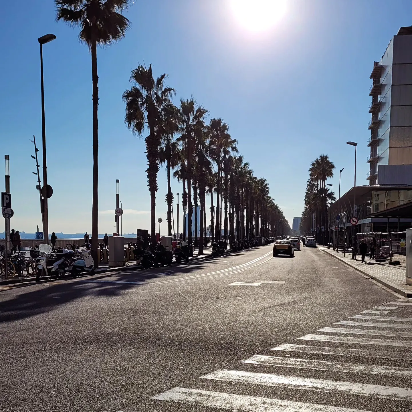 Palm-lined seafront boulevard with scooters parked along the promenade and low winter sun ahead