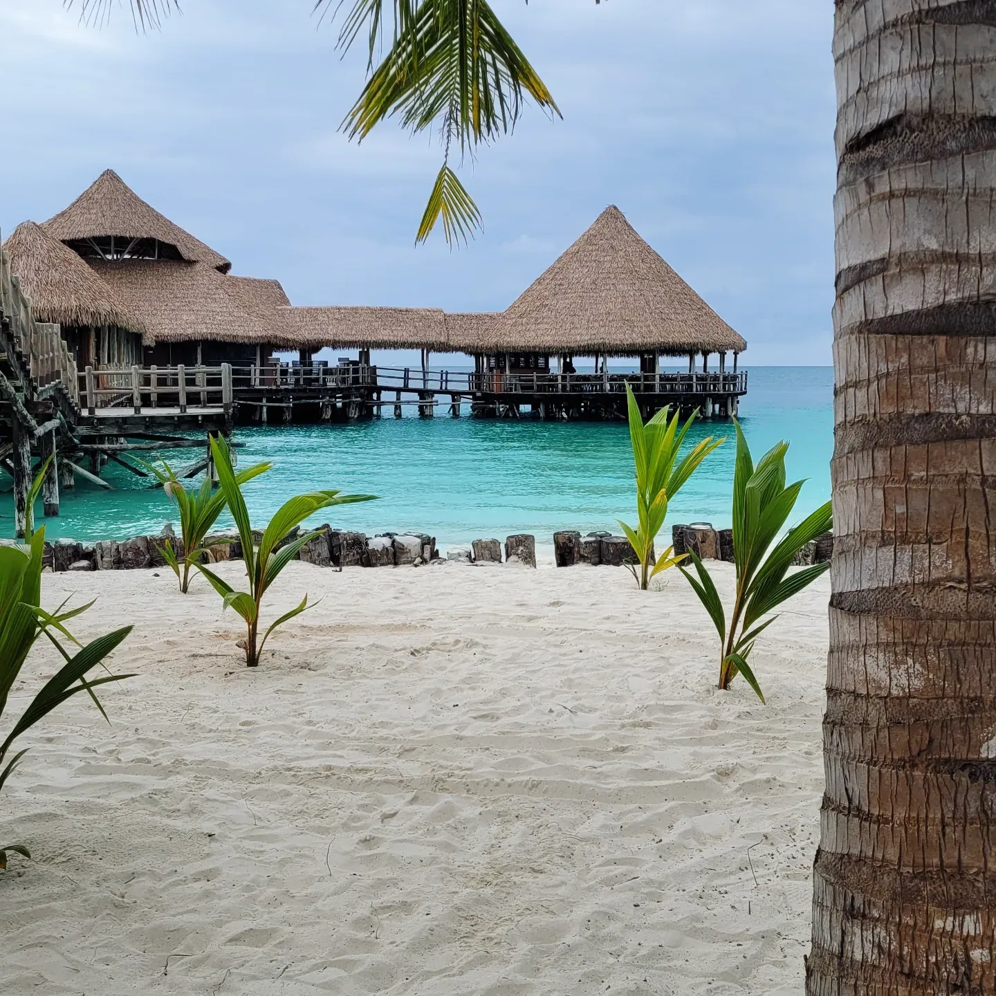 Stilted thatched restaurant over turquoise water seen from a white beach through palm trunks