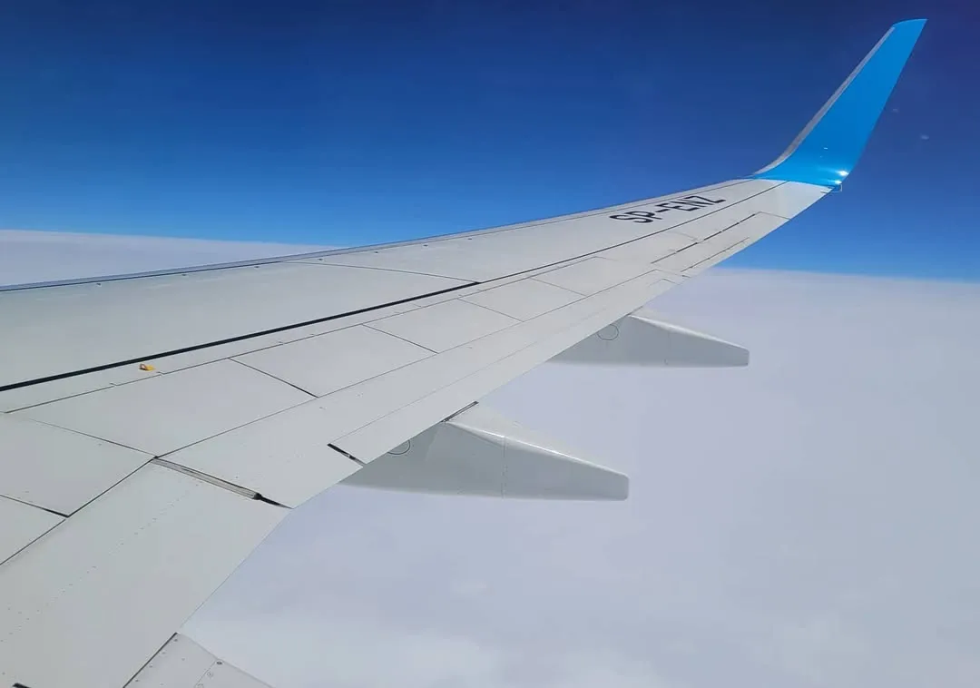 Swept wing with two flap fairings above an unbroken white cloud deck